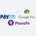 Online Payment