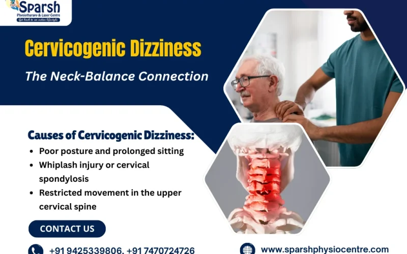 Cervicogenic Dizziness something went wrong